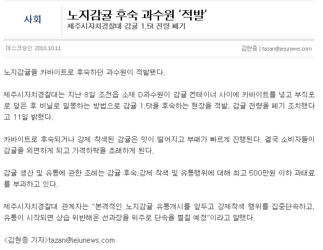 노지감귤 후숙 과수원 '적발'